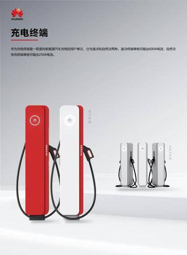 中汉飞龙