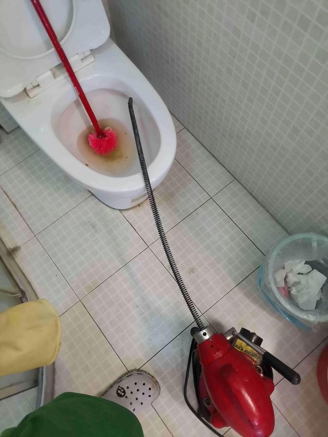 寻宠到家