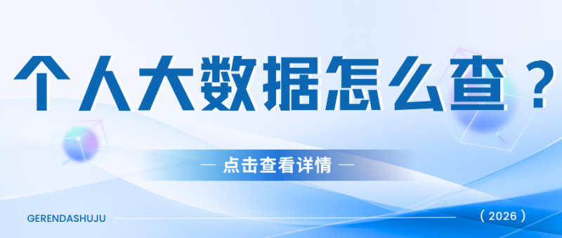 个人大数据报告